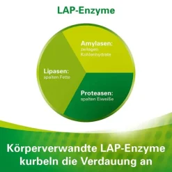 Enzym Kautabletten, 20 St^Lefax Online