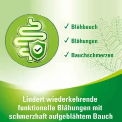 Lefaxan protect Hartkapseln, 15 St- Medikamente Gegen Blähungen