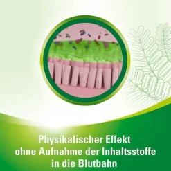 Lefaxan protect Hartkapseln, 15 St- Medikamente Gegen Blähungen