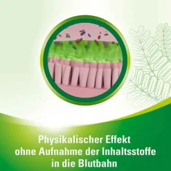 Lefaxan Medikamente Gegen Blähungen-protect Hartkapseln, 30 St