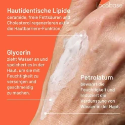 Locobase Repair Creme de / AT, 100 g- Cremes & Balsame
