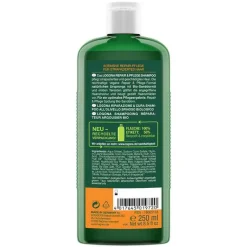 Haarpflege-Logona Repair & Pflege Shampoo Bio-Sanddorn, 250 ml