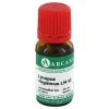 Lycopus virg. Arcana LM 6 Dilution, 10 ml^ Clearance