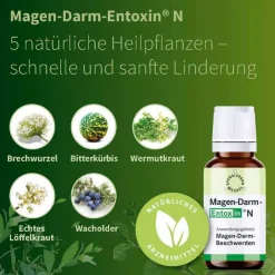 Entoxin Spenglersan-Magen Darm N Tropfen, 20 ml