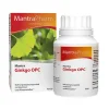 Ginkgo OPC Kapseln, 90 St^Mantra Online