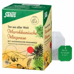 Salus Bio Tee-Marokkanische Minzoase Bio Filterbeutel, 15 St