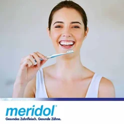 Meridol Zahnbürsten-Parodont-Expert Zahnbürste, 1 St