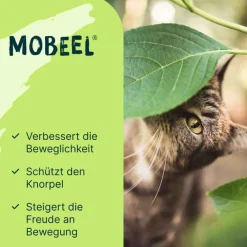 Ergänzungsfuttermittel Pulver für Hunde / Katzen, 150 g^Mobeel Clearance