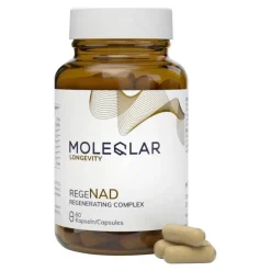 MoleQlar Vitamin B Komplex|Grüner Tee-Longevity Regenad Kapseln, 60 St
