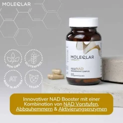 MoleQlar Vitamin B Komplex|Grüner Tee-Longevity Regenad Kapseln, 60 St