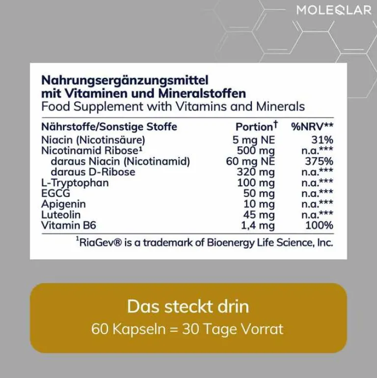 MoleQlar Vitamin B Komplex|Grüner Tee-Longevity Regenad Kapseln, 60 St