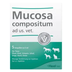 Mucosa Compositum Ampullen vet. (für Tiere), 5X5 ml^Heel