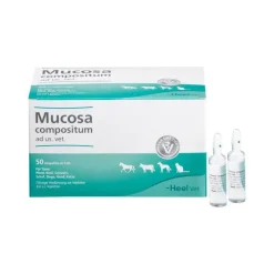 Mucosa Compositum Ampullen vet. (für Tiere), 50X5 ml^Heel New