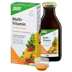 Multivitamin Energetikum , 250 ml^Salus Hot