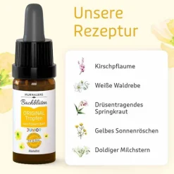 Bachblüten Original Junior Tropfen, 10 ml^Murnauers Online