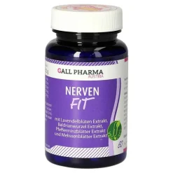 Hecht Pharma Hirnleistung & Nerven-Nerven Fit GPH Kapseln, 60 St