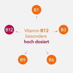 -ratiopharm forte Kapseln, 80 St^Neuropax Best