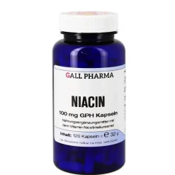 Hecht Pharma Vitamin B3 (Niacin)-Niacin 100 mg GPH Kapseln, 120 St