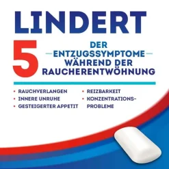 Nicotinell Nikotinkaugummi-Kaugummi 2 mg Spearmint, 24 St