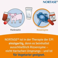Kapseln vegetarische Verdauungsenzyme, 50 St^Nortase Discount