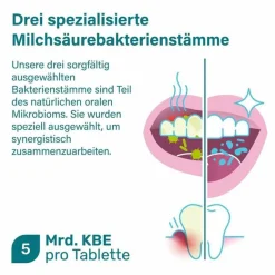 probadent forte 3 Bakterien Kulturen 5 Mrd. KBE Lutschtabletten, 30 St^Nupure Sale