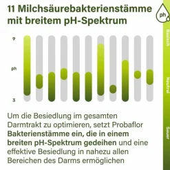 Nupure Bakterienkulturen-probaflor Mikrobiotika magensaftresistent Kapseln, 60 St