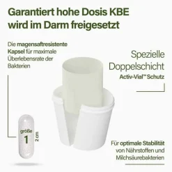 Nupure Bakterienkulturen-probaflor Mikrobiotika magensaftresistent Kapseln, 60 St