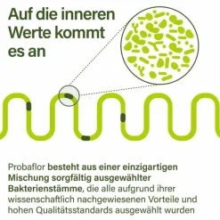 Nupure probaflor Mikrobiotika magensaftresistent Kapseln, 90 St- Bakterienkulturen