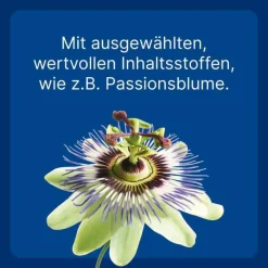 Nurexan Biologische Heilmittel Heel Gmbh-ad us. vet. Tabletten , 100 St