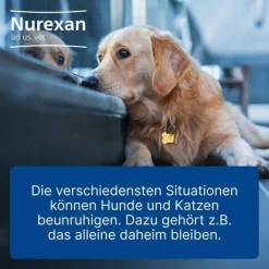 Nurexan ad us. vet. Tabletten , 500 St- Biologische Heilmittel Heel Gmbh