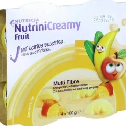 Creamy Fruit Sommerfrüchte, 4X100 g^Nutrini