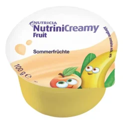 Creamy Fruit Sommerfrüchte, 48X100 g^Nutrini Hot