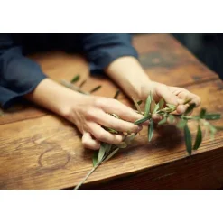 Oliveda Gesichtscreme Hydroxytyrosol Corrective, 60 ml- Anti-Aging