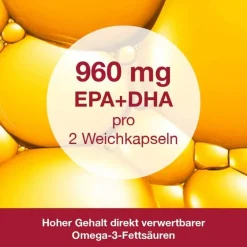 Dr. Loges Omega 3-Loges plus Kapseln, 120 St- Omega 3 Kapseln