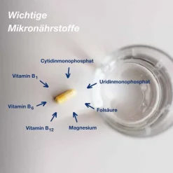 Orthomol neuro Kapseln, 30 St- Hirnleistung & Nerven