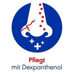 Otriven Schnupfen & Nasennebenhöhlen-Protect Schnupfen Nasenspray (Dosierspray), 10 ml