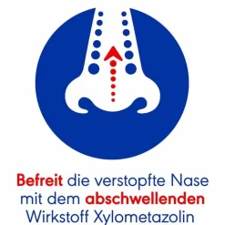 Otriven SinuSpray 0,1 % Nasenspray, 10 ml- Schnupfen & Nasennebenhöhlen