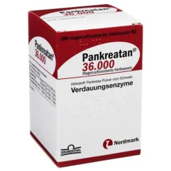 Pankreatan 36.000 magensaftresistente Kapseln, 100 St- Verdauung