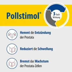 Pollstimol Hartkapseln, 60 St- Prostata Medikamente