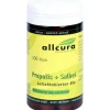 Allcura Propolis Salbei Lutschtabletten Bio, 100 St- Propolis|Bonbons & Pastillen