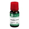 Arcana Pulsatilla LM 12 Dilution, 10 ml- M-P|P