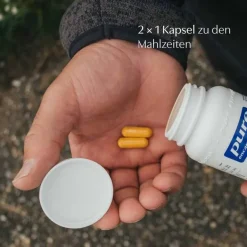 Pure Encapsulations Glucosamin-Chondroitin-Chondro aktiv Kapseln, 60 St