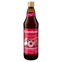 Rabenhorst schützen mit Zink Saft, 700 ml^ Online