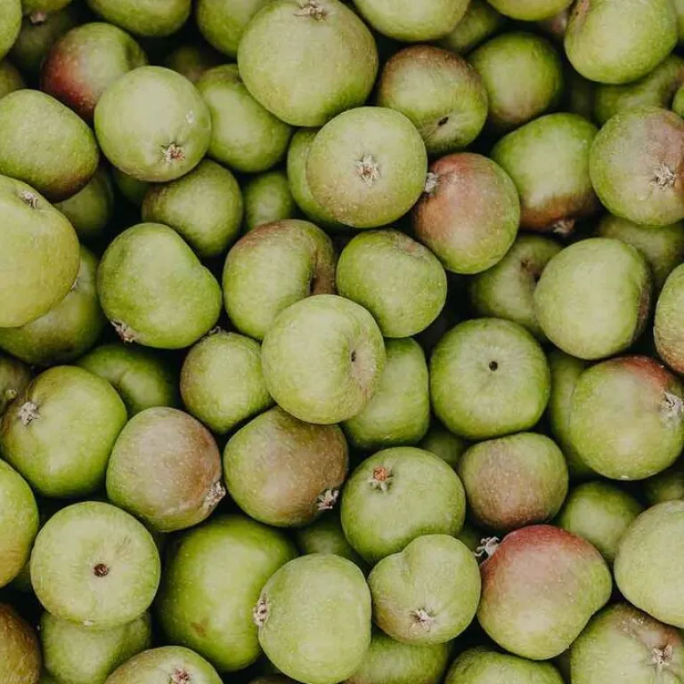 Anti-Pollution-Spray mit Schweizer Apfel, 100 ml^Rausch Best