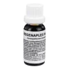 Nr.109 Tropfen, 15 ml^Regenaplex Best