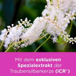 Remifemin ® , 100 St- Wechseljahre Medikamente