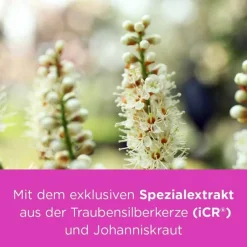 Remifemin ® PLUS Johanniskraut , 100 St- Wechseljahre Medikamente