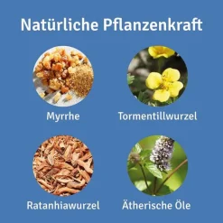 Mund- und Rachenspray, 30 ml^Repha OS Best