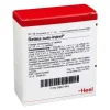 Injeel Retina Suis Ampullen, 10 St- Heel
