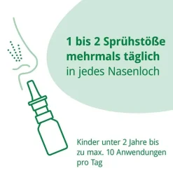 Leyhs Rhinoguttae Neo Nasenspray, 20 ml- Meerwasser Nasenspray|Schnupfen & Nasennebenhöhlen
